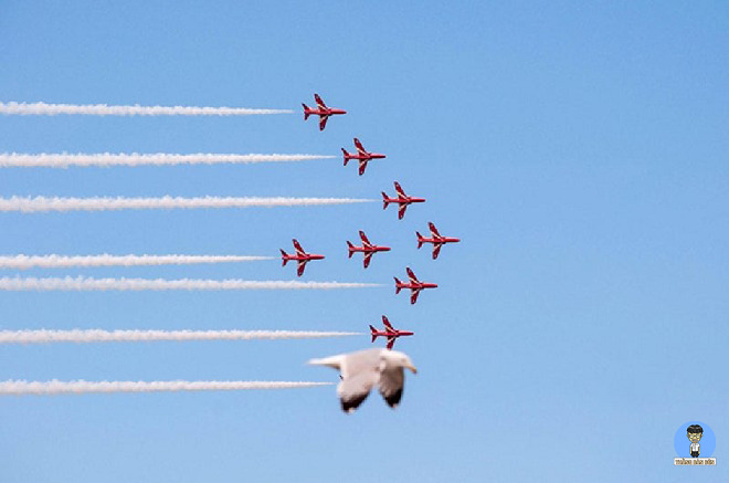 Hài hước loạt ảnh đánh lừa thị giác một cách rất tình cờ - 15