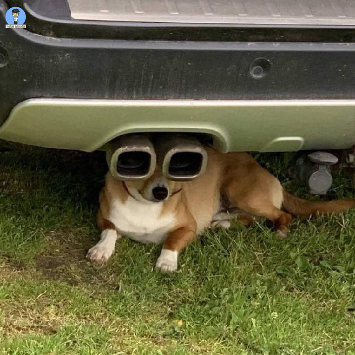 Hài hước loạt ảnh đánh lừa thị giác một cách rất tình cờ - 5