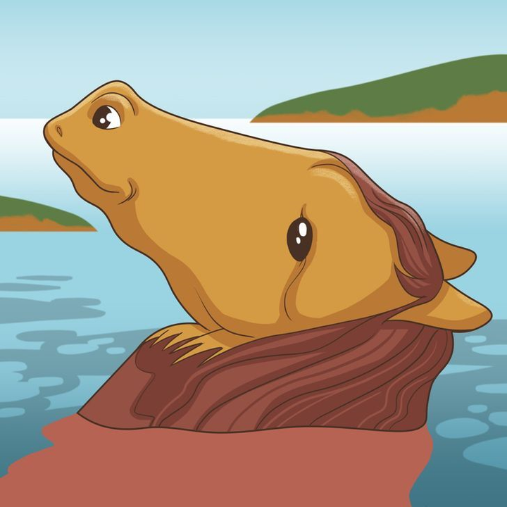 Trắc nghiệm vui đoán tính cách: Bạn nhìn thấy con ếch hay con ngựa? - 1