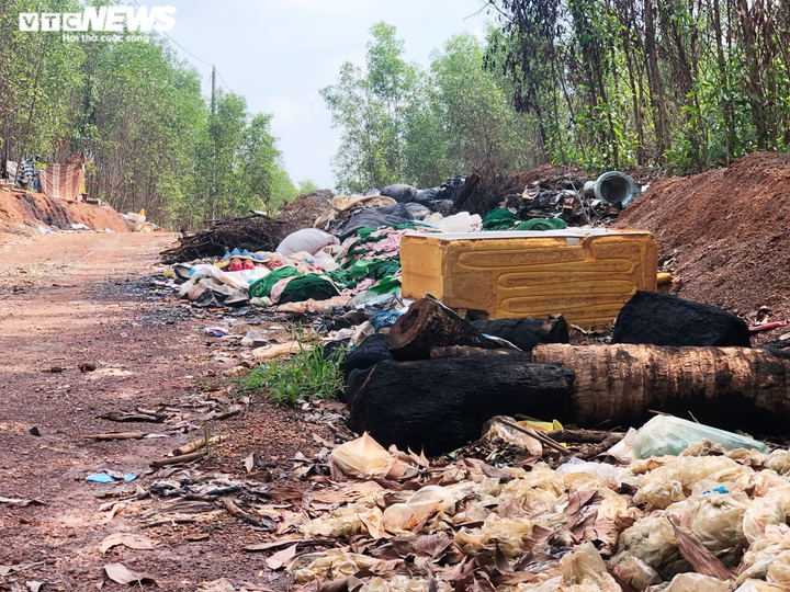 Đồng Nai: Dân kêu trời vì bãi tập kết rác thải hôi thối, ruồi nhặng bâu kín - 3