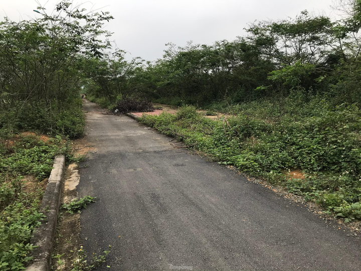  Sau nhiều năm bỏ hoang, dự án đại học nghìn tỷ tại Hòa Lạc có diễn biến 'lạ' - 12