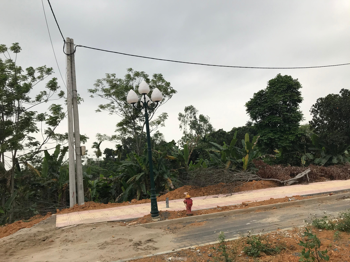  Sau nhiều năm bỏ hoang, dự án đại học nghìn tỷ tại Hòa Lạc có diễn biến 'lạ' - 6