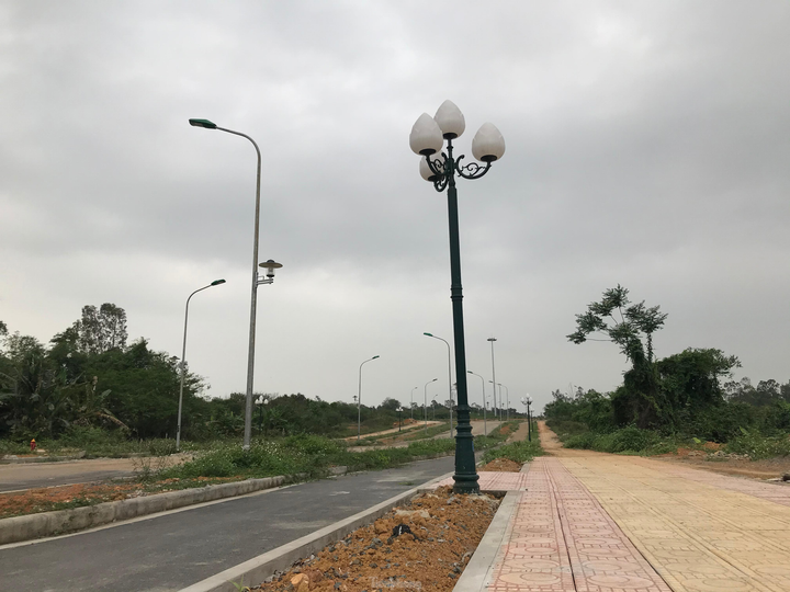  Sau nhiều năm bỏ hoang, dự án đại học nghìn tỷ tại Hòa Lạc có diễn biến 'lạ' - 13