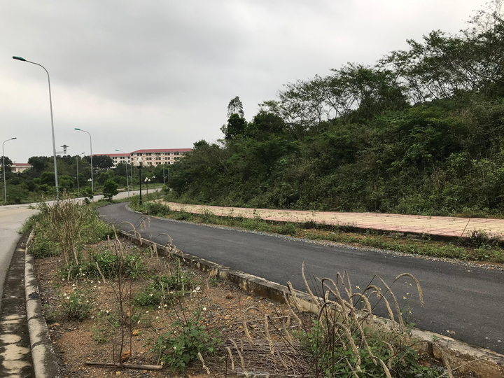  Sau nhiều năm bỏ hoang, dự án đại học nghìn tỷ tại Hòa Lạc có diễn biến 'lạ' - 10