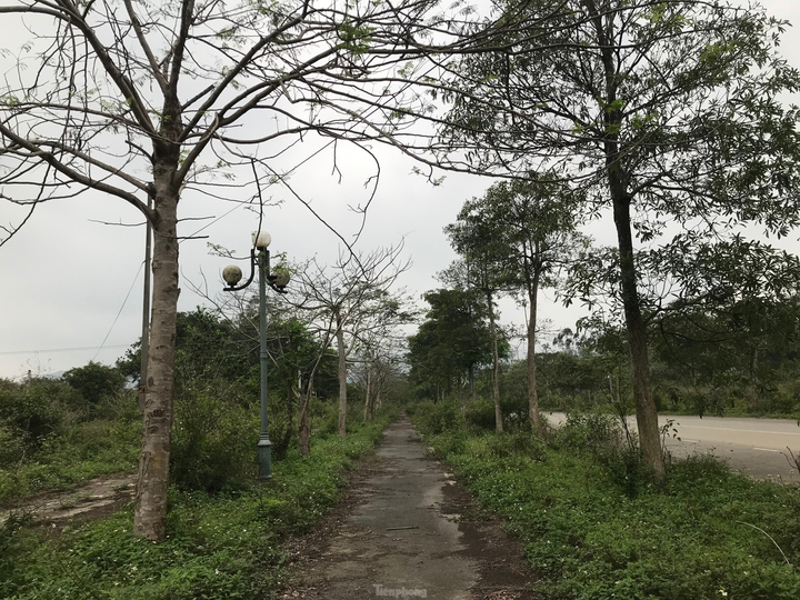  Sau nhiều năm bỏ hoang, dự án đại học nghìn tỷ tại Hòa Lạc có diễn biến 'lạ' - 2