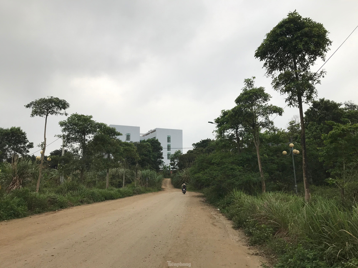  Sau nhiều năm bỏ hoang, dự án đại học nghìn tỷ tại Hòa Lạc có diễn biến 'lạ' - 3