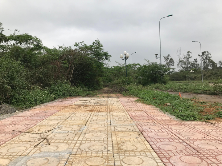  Sau nhiều năm bỏ hoang, dự án đại học nghìn tỷ tại Hòa Lạc có diễn biến 'lạ' - 8