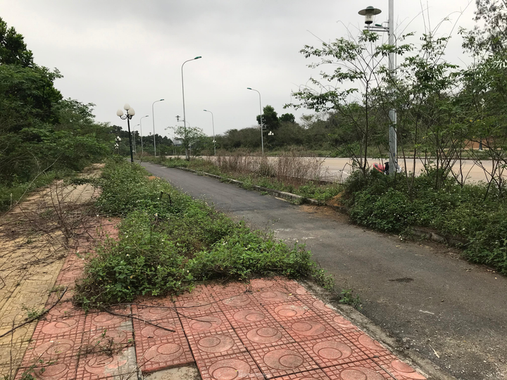  Sau nhiều năm bỏ hoang, dự án đại học nghìn tỷ tại Hòa Lạc có diễn biến 'lạ' - 11