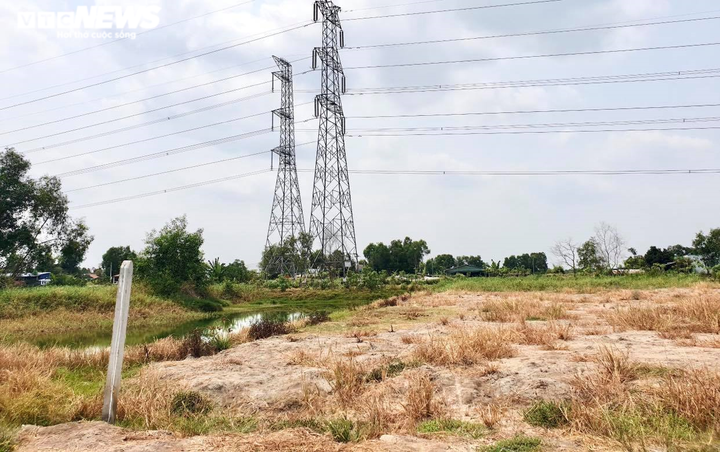 Long An: Người dân khốn khổ vì văn bản pháp luật có sự xung đột, chồng chéo - 2