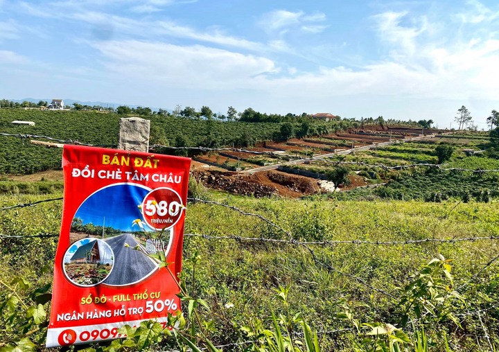 Bộ TN&MT thanh tra thực trạng xẻ đồi, phân lô bán nền tràn lan tại Lâm Đồng - 1