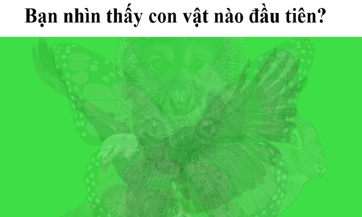 Trắc nghiệm vui đoán tính cách: Bạn nhìn thấy con vật gì đầu tiên? - 1