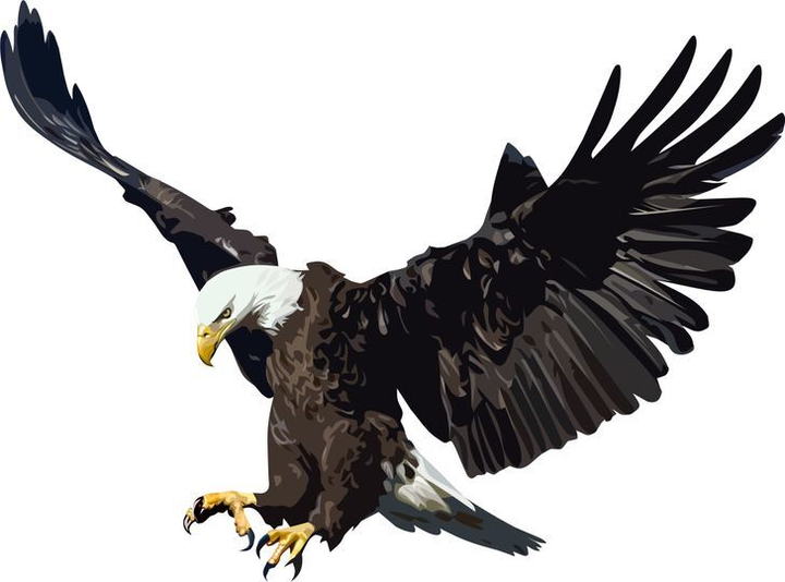 Trắc nghiệm vui đoán tính cách: Bạn nhìn thấy con vật gì đầu tiên? - 3