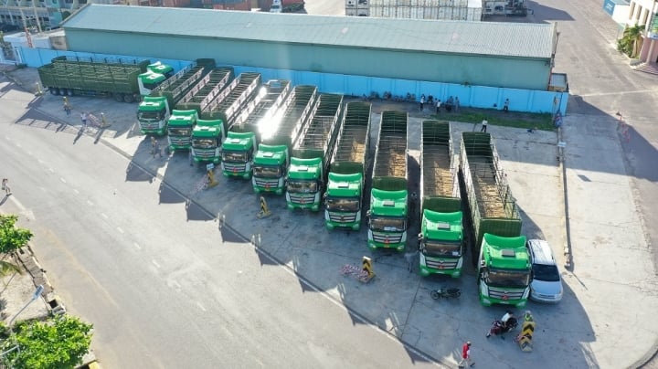 Dịch vụ logistics trọn gói của THILOGI: Giúp doanh nghiệp tăng tính cạnh tranh - 5