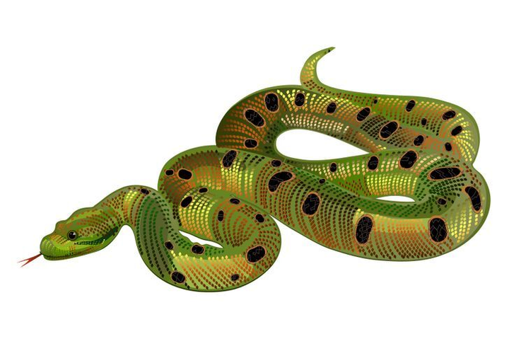 Trắc nghiệm vui đoán tính cách: Bạn nhìn thấy con vật gì đầu tiên? - 6