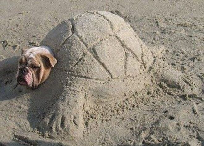 Muôn kiểu đắp cát trên biển với tài sáng tạo 'vô cực' khiến dân tình tròn mắt - 10