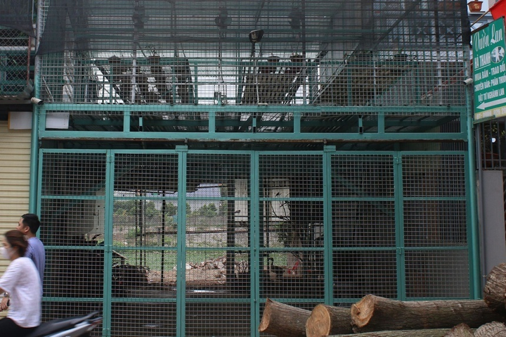 Lời khai của chủ vườn lan đột biến bị tố ôm trăm tỷ bỏ trốn - 1