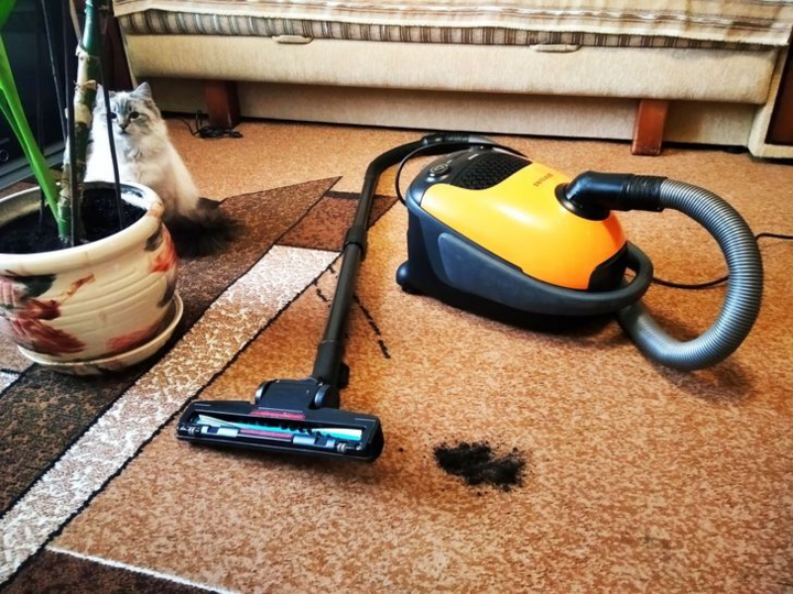 12 món đồ khiến nhà bạn đầy bụi - 12