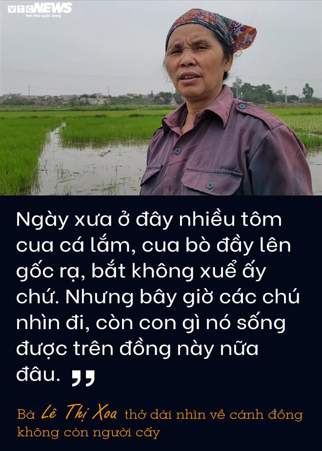 Sông Cầu thơ mộng trong văn chương đang trở thành nỗi ám ảnh kinh hoàng - 8