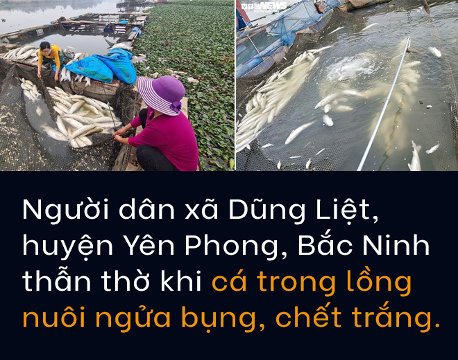 Sông Cầu thơ mộng trong văn chương đang trở thành nỗi ám ảnh kinh hoàng - 5