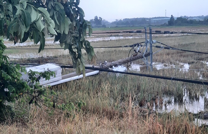 TP.HCM: Xuyên đêm trồng lại hàng cột điện bị ngã sau cơn mưa ở Củ Chi - 1