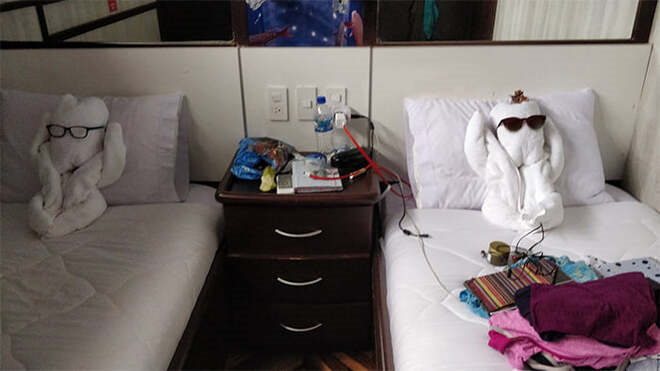 Khi nhân viên dọn phòng vui tính quá mức làm khách 'xỉu up xỉu down' vì khăn tắm - 3