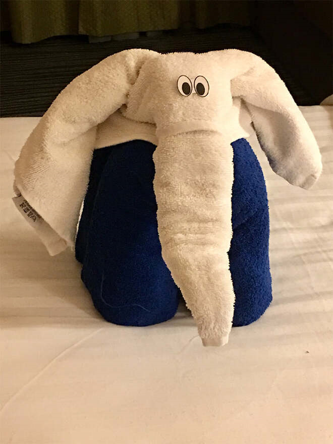 Khi nhân viên dọn phòng vui tính quá mức làm khách 'xỉu up xỉu down' vì khăn tắm - 13