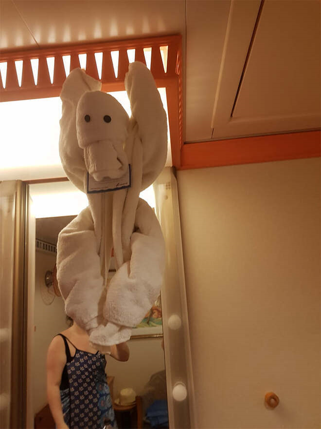 Khi nhân viên dọn phòng vui tính quá mức làm khách 'xỉu up xỉu down' vì khăn tắm - 9