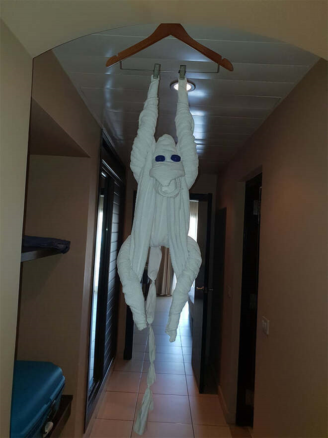 Khi nhân viên dọn phòng vui tính quá mức làm khách 'xỉu up xỉu down' vì khăn tắm - 6