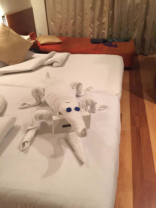 Khi nhân viên dọn phòng vui tính quá mức làm khách 'xỉu up xỉu down' vì khăn tắm - 15