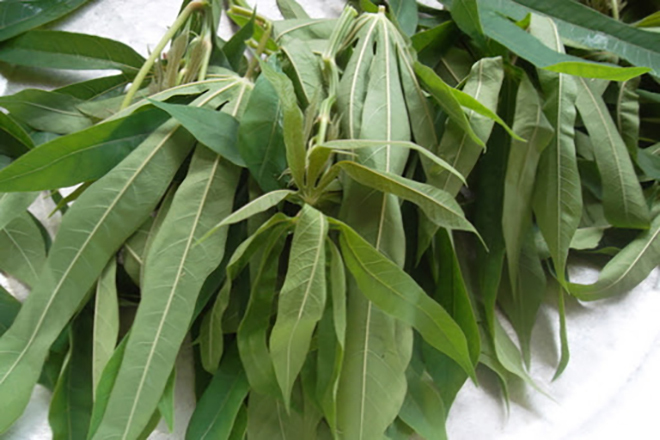 Canh rau sắn chua nấu cá - Đặc sản bình dị của người dân đất Tổ Vua Hùng - 3