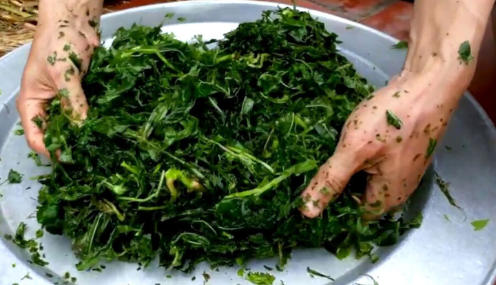 Canh rau sắn chua nấu cá - Đặc sản bình dị của người dân đất Tổ Vua Hùng - 4