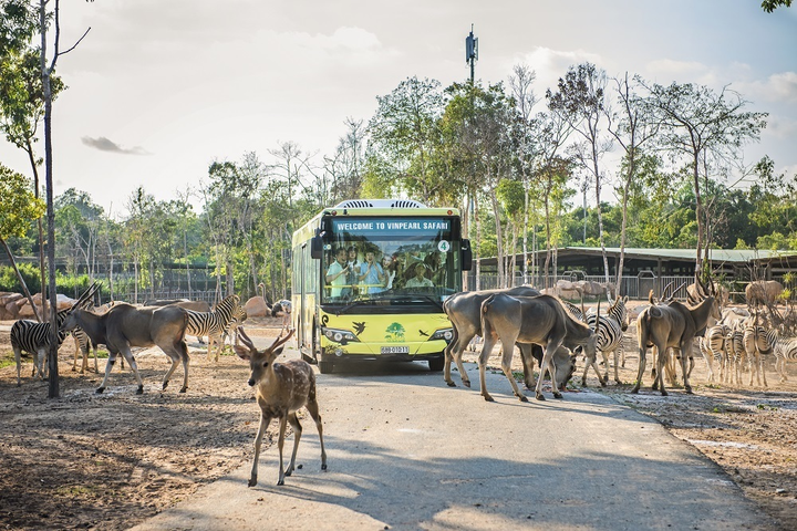 Tọa độ check-in mới xuất hiện hút hồn giới trẻ tại Phú Quốc - 6