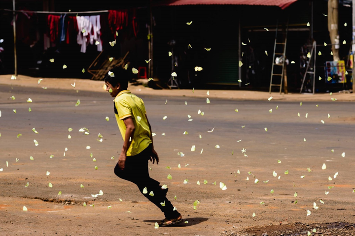 Tháng 4 rủ nhau lên Tây Nguyên ngắm bướm bay rợp trời, chụp ảnh hóa Hàm Hương - 5