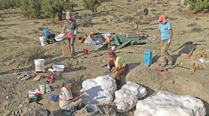 Mồ chôn tập thể tiết lộ tập tính như sói của khủng long - 1