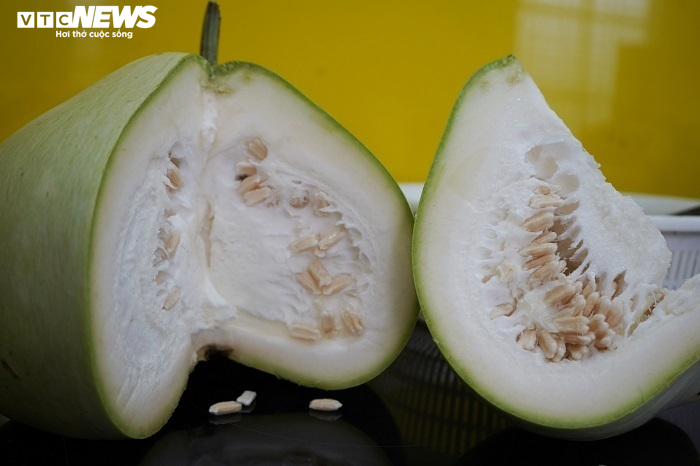 Ảnh: Về huyện đảo ở Hải Phòng chiêm ngưỡng giống bầu khổng lồ nặng tới 15kg - 8