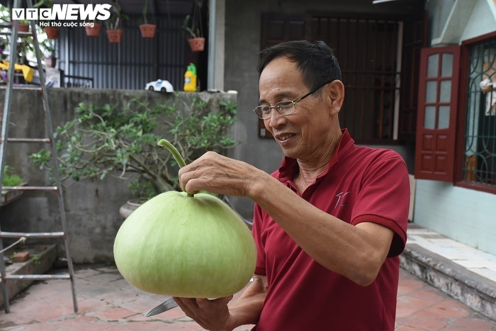 Ảnh: Về huyện đảo ở Hải Phòng chiêm ngưỡng giống bầu khổng lồ nặng tới 15kg - 4