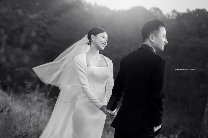 Phan Mạnh Quỳnh tung bộ ảnh cưới đẹp như cổ tích chụp tại Đà Lạt - 5