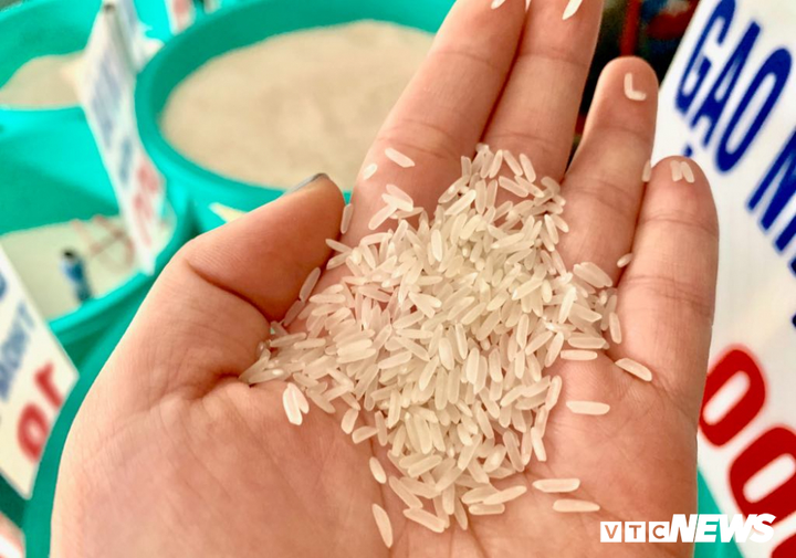 Bị thoá mạ việc mang gạo ST25 đi thi, kỹ sư Hồ Quang Cua lần đầu lên tiếng - 2