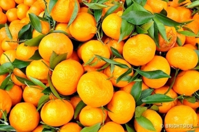 Thử thách đọ tài tinh mắt: Chỉ 15 giây, hãy tìm ra vật nằm lẫn trong ảnh - 4