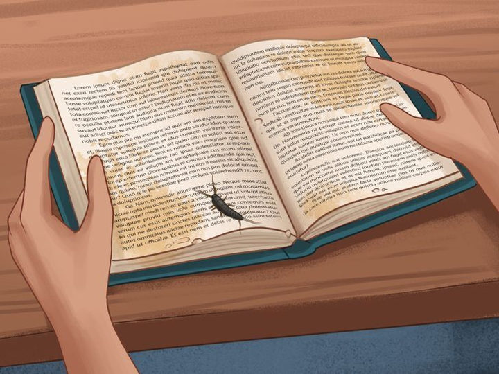 Coi chừng nhà bạn có mối mọt, sâu bọ nếu thấy những dấu hiệu này - 1