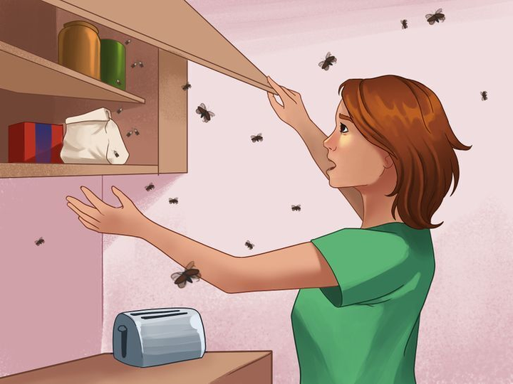 Coi chừng nhà bạn có mối mọt, sâu bọ nếu thấy những dấu hiệu này - 5