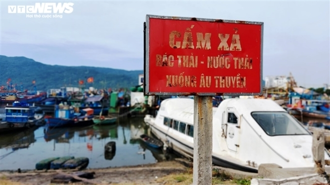 Ô nhiễm tại âu thuyền Thọ Quang: Giám đốc Sở TN-MT Đà Nẵng nói gì? - 3