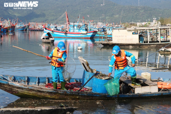 Ô nhiễm tại âu thuyền Thọ Quang: Giám đốc Sở TN-MT Đà Nẵng nói gì? - 1