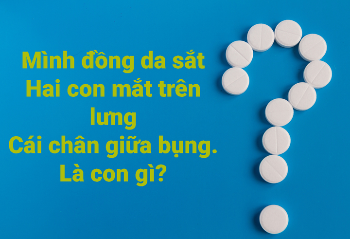 Đố vui đoán động vật, tưởng dành cho trẻ em nhưng nhiều người lớn cũng chịu bí - 2
