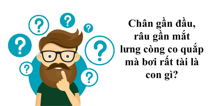 Đố vui đoán động vật, tưởng dành cho trẻ em nhưng nhiều người lớn cũng chịu bí - 3