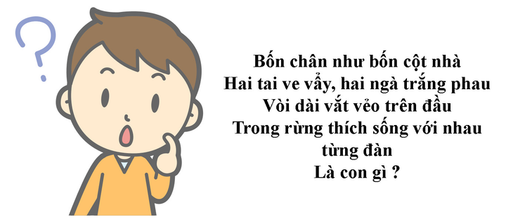 Đố vui đoán động vật, tưởng dành cho trẻ em nhưng nhiều người lớn cũng chịu bí - 1