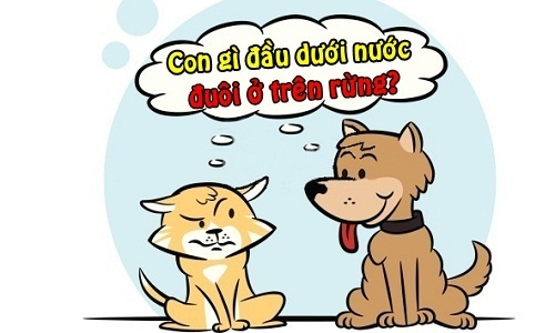 Đố vui đoán động vật, tưởng dành cho trẻ em nhưng nhiều người lớn cũng chịu bí - 5