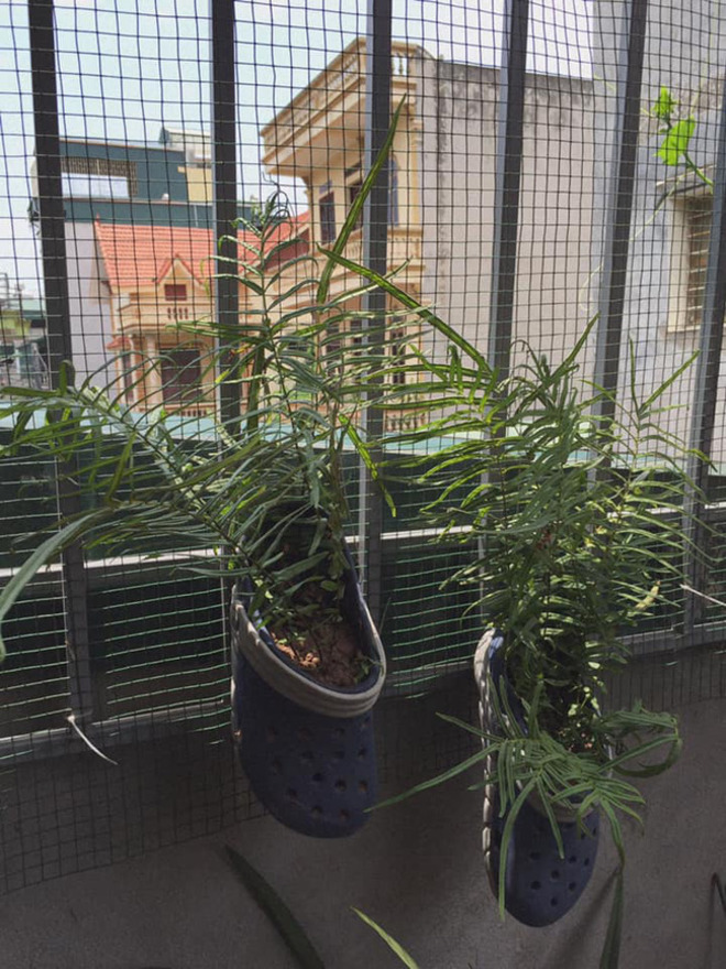 Những màn tái chế đồ để trồng cây đúng chất 'ban ngày độc đáo, ban đêm hú hồn' - 13