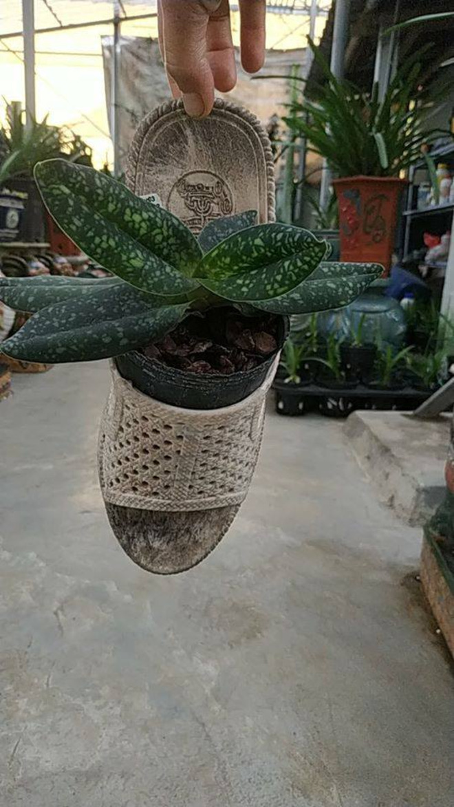 Những màn tái chế đồ để trồng cây đúng chất 'ban ngày độc đáo, ban đêm hú hồn' - 12