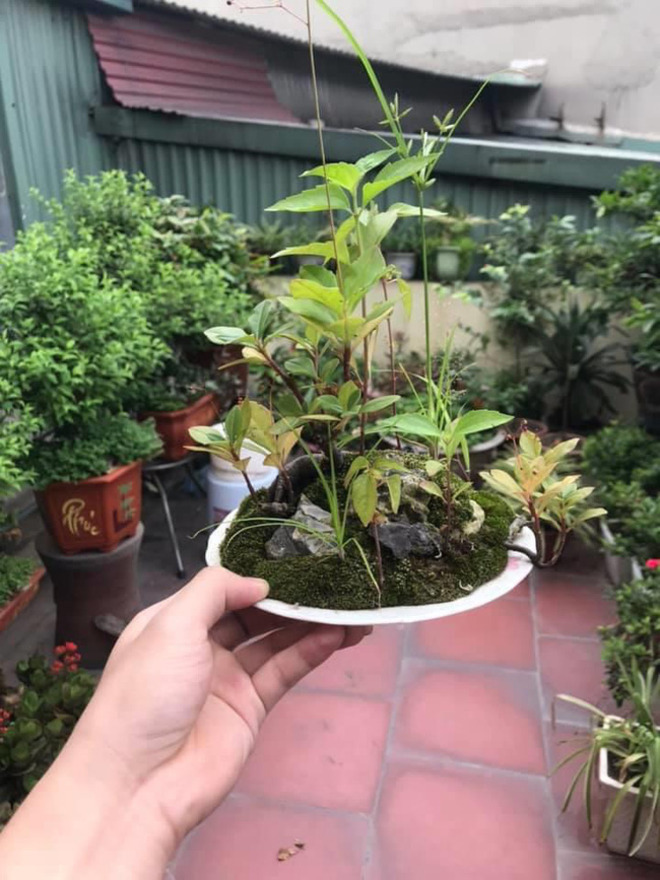 Những màn tái chế đồ để trồng cây đúng chất 'ban ngày độc đáo, ban đêm hú hồn' - 15